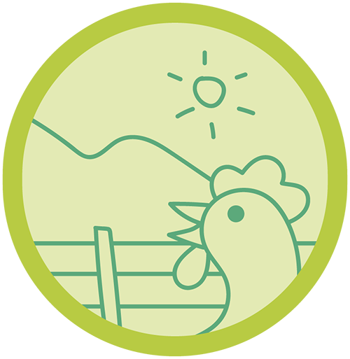 Free-Range Chickens